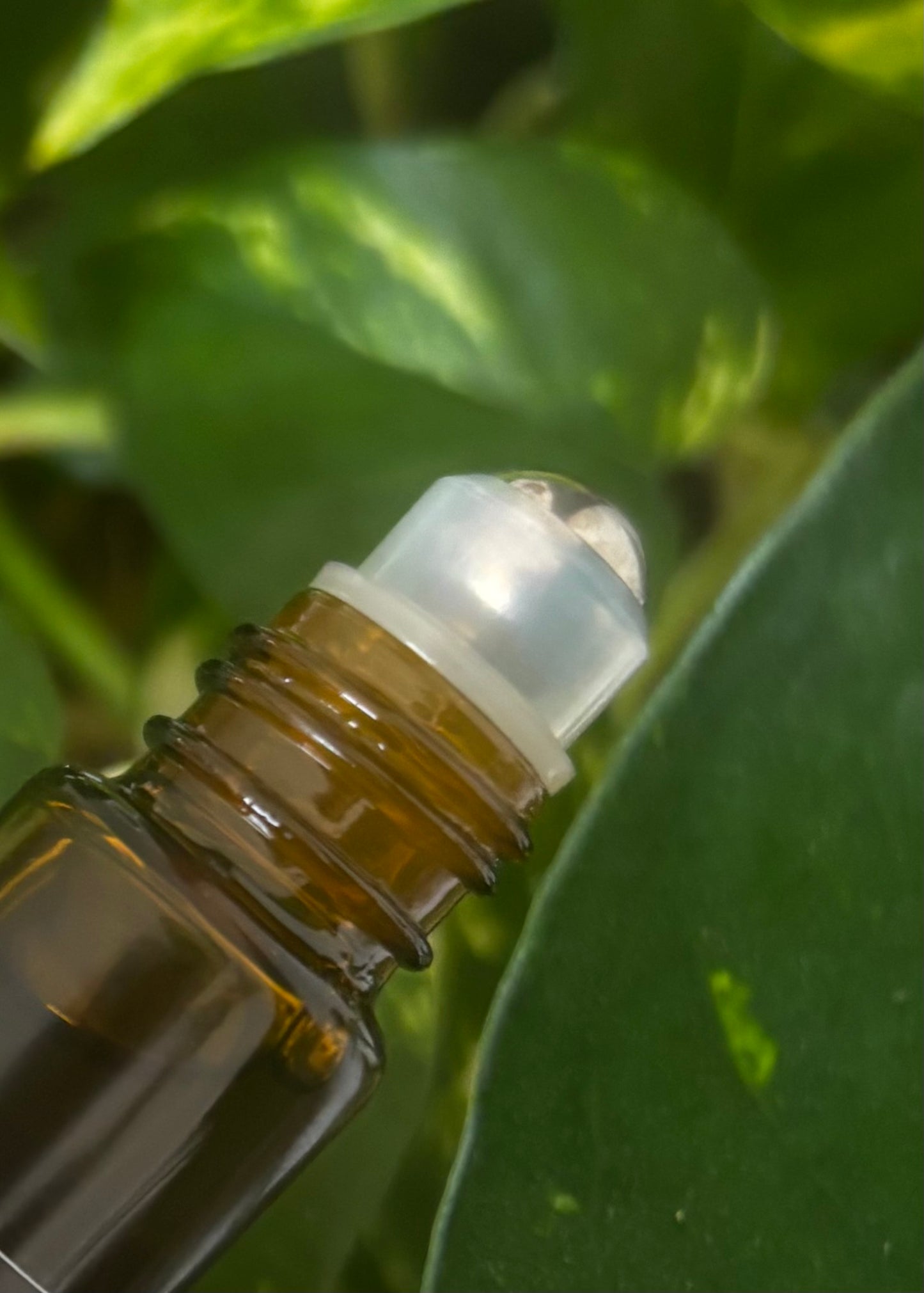 THE CUTICLE OIL | 10Ml